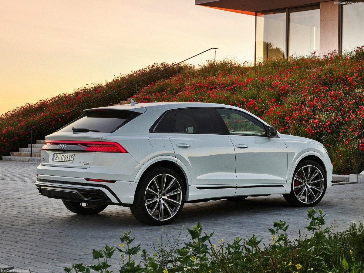 Audi Q8 фото 205282