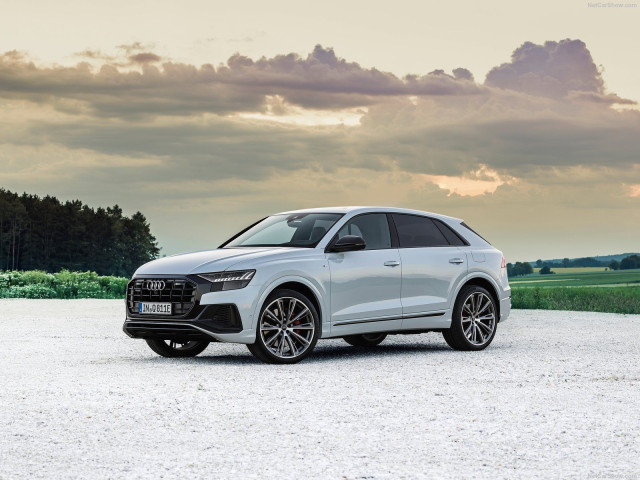 Audi Q8 фото