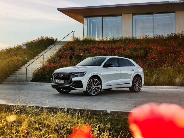 Audi Q8 фото