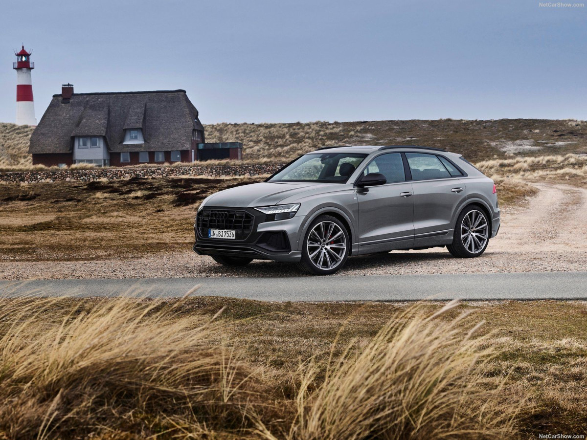 Audi Q8 фото 206619