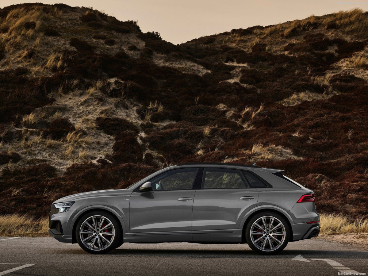 Audi Q8 фото 206624