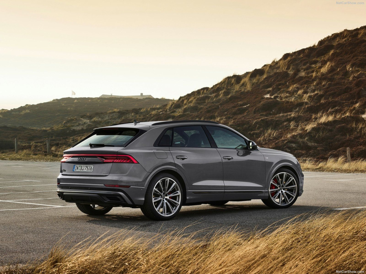 Audi Q8 фото 206626