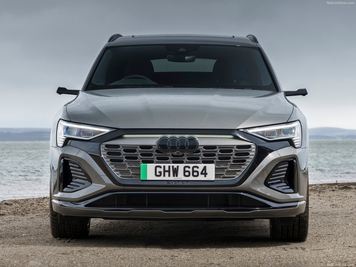 Audi Q8 фото 210540