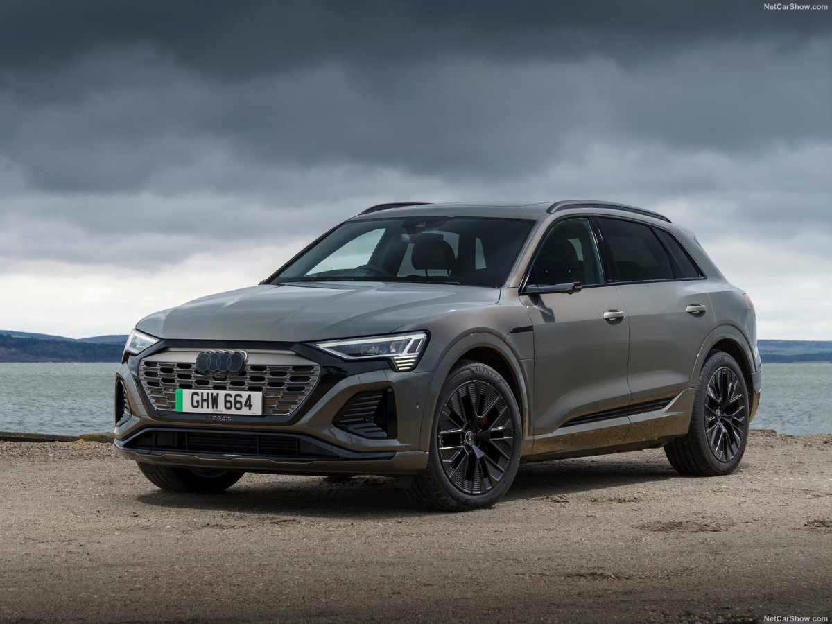 Audi Q8 фото 210541