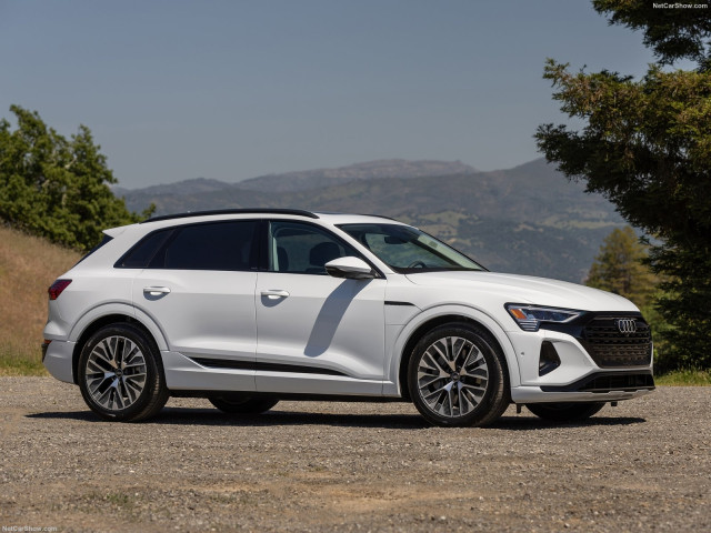 Audi Q8 фото