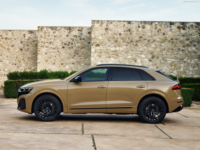 Audi Q8 фото