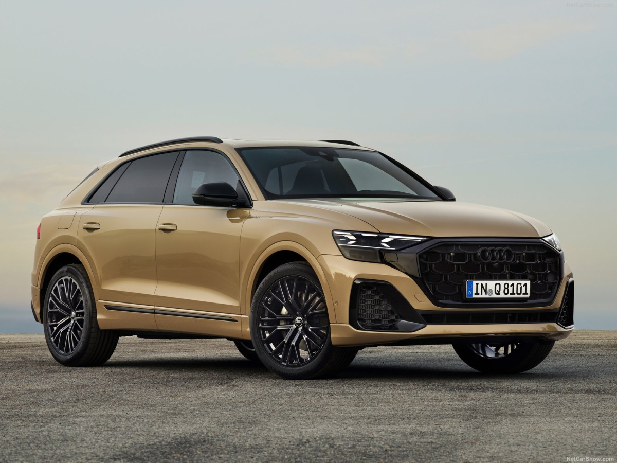 Audi Q8 фото 211298