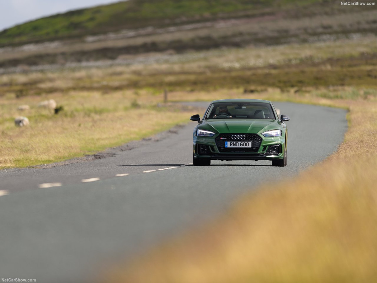 Audi RS5 Coupe фото 185289