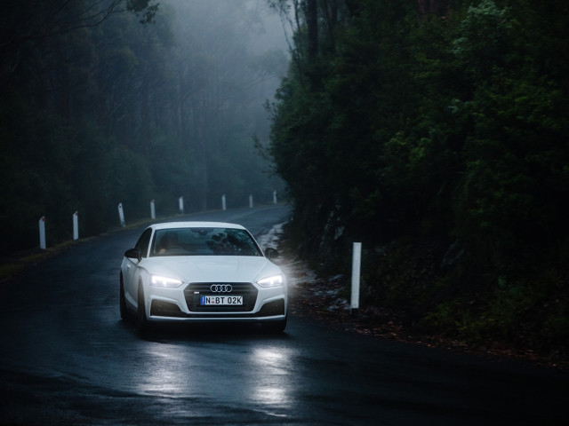 Audi S5 Coupe фото