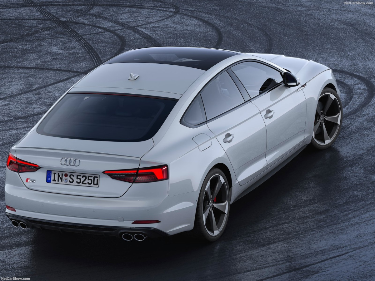 Audi S5 Sportback фото 201554