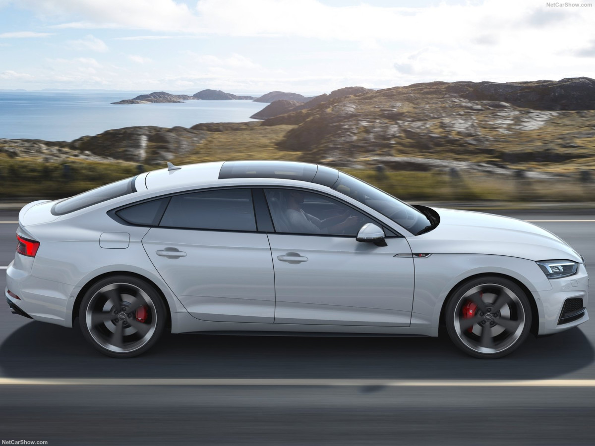 Audi S5 Sportback фото 201557