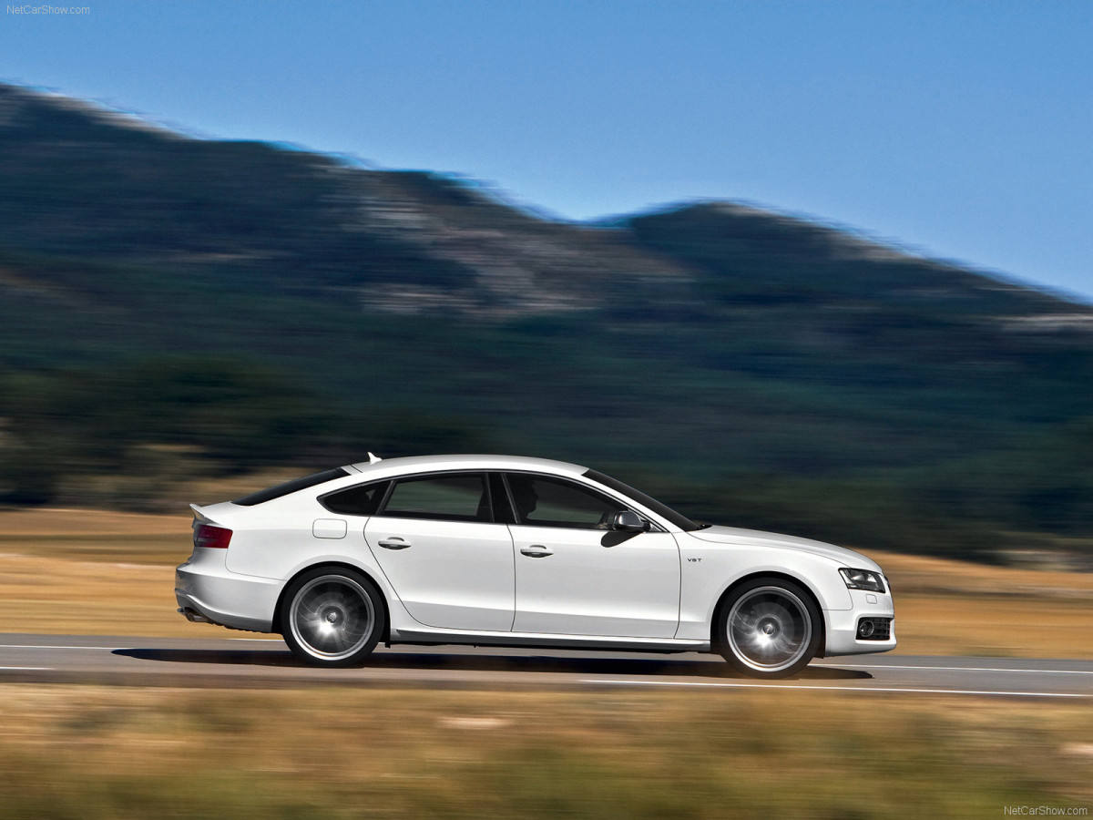 Audi S5 Sportback фото 72733