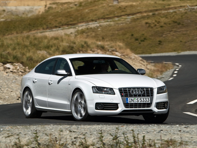 Audi S5 Sportback фото