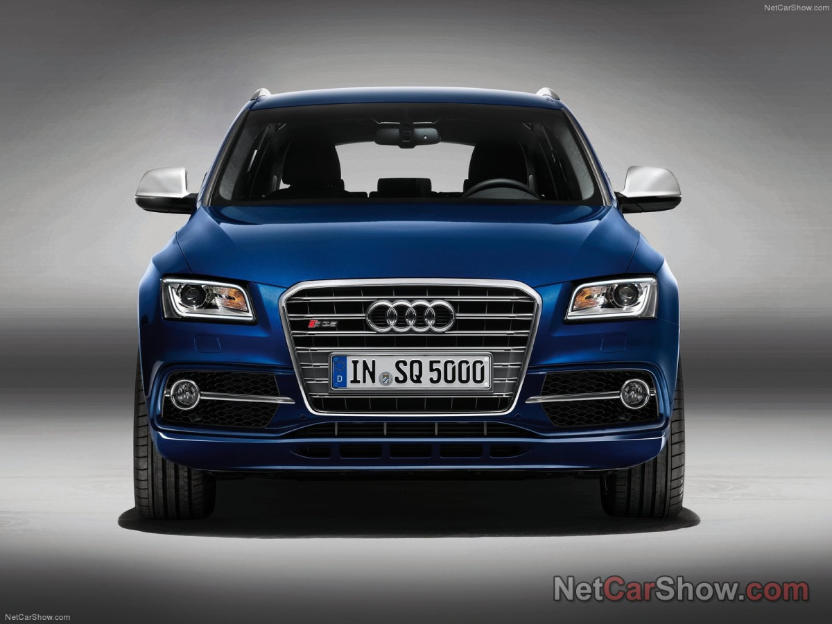 Audi SQ5 TDI фото 96151