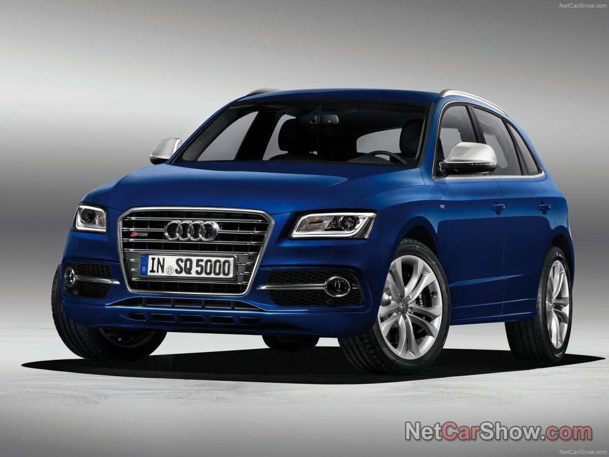 Audi SQ5 TDI фото 96157