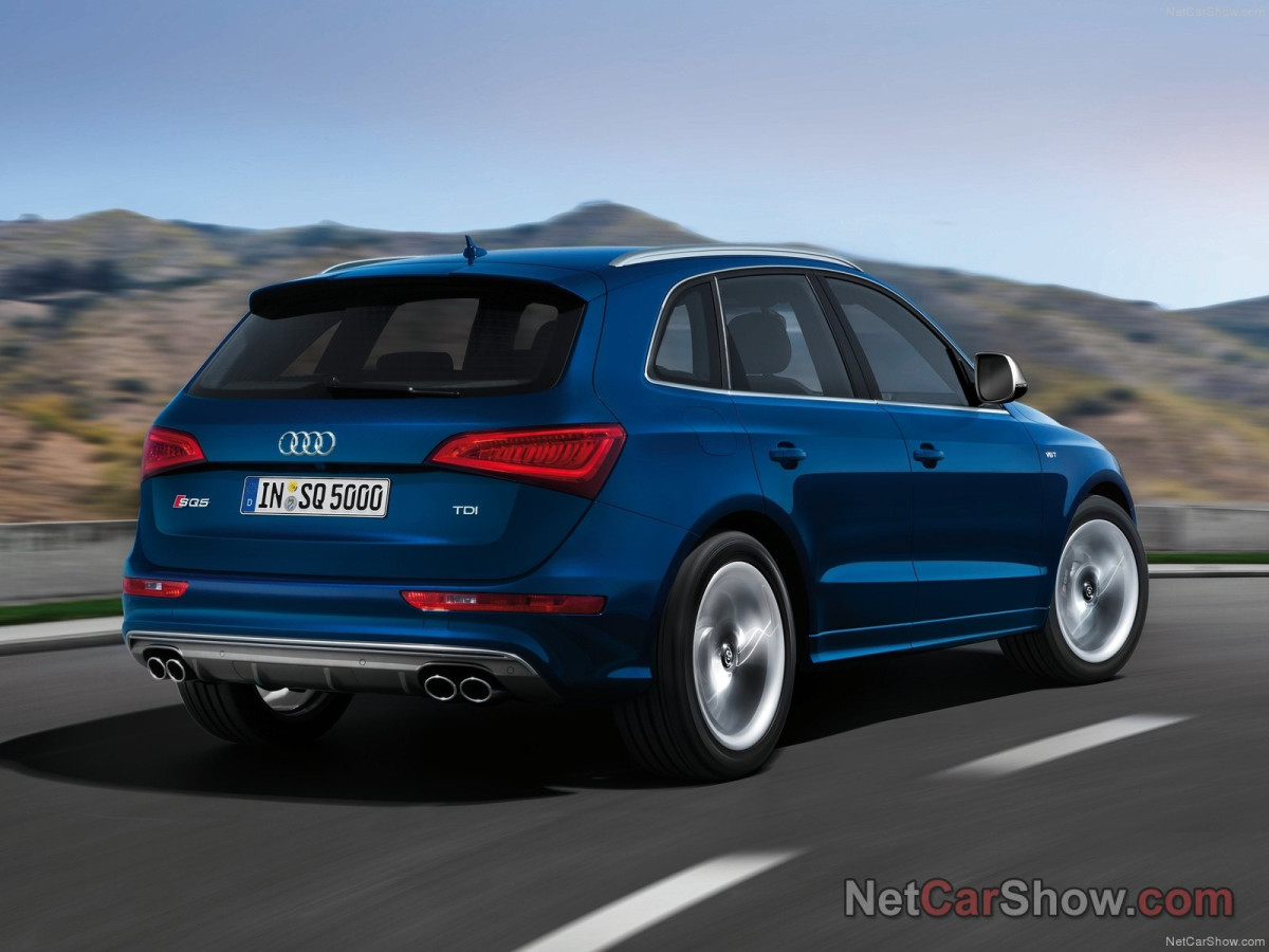 Audi SQ5 TDI фото 96158