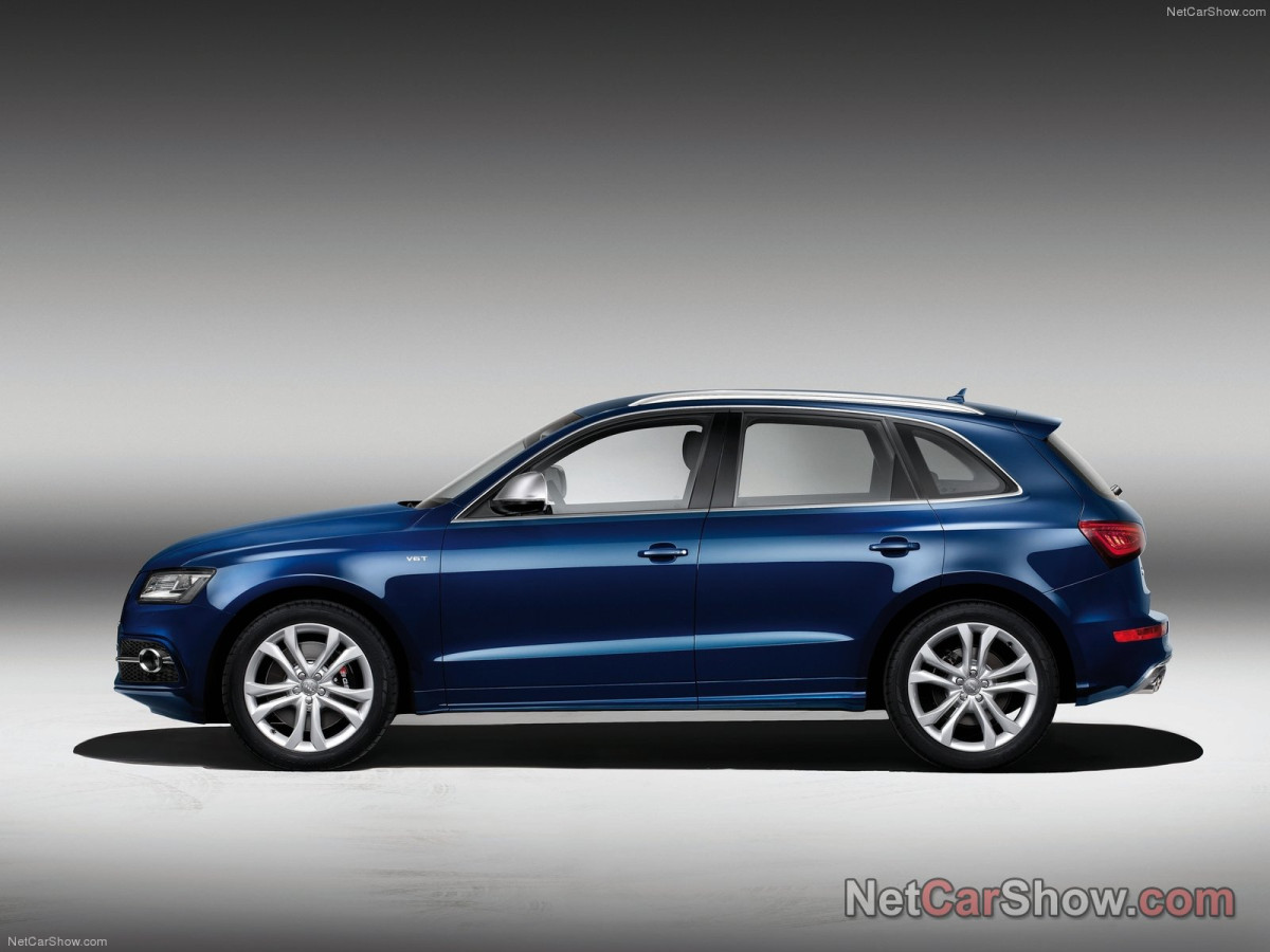 Audi SQ5 TDI фото 96160