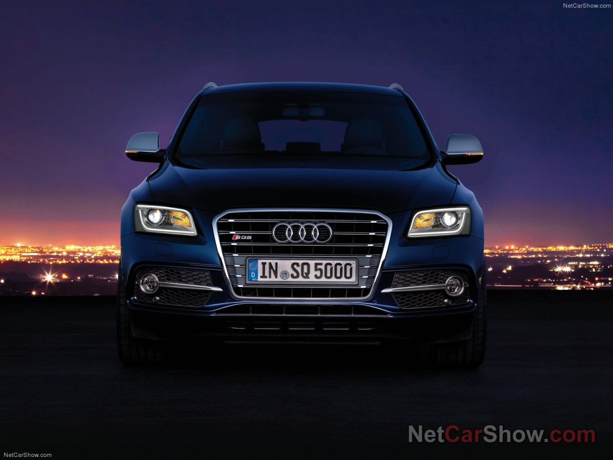 Audi SQ5 TDI фото 96970