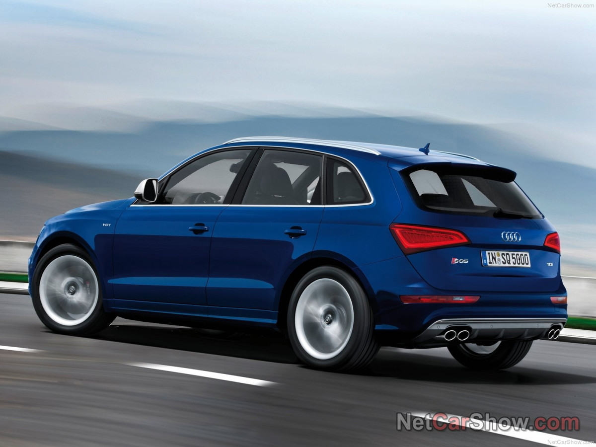 Audi SQ5 TDI фото 96972