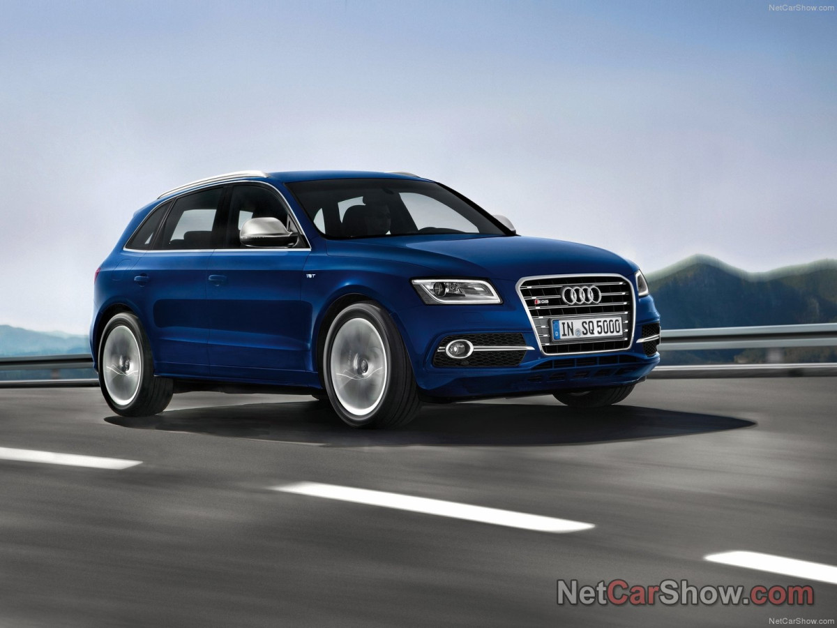 Audi SQ5 TDI фото 96977