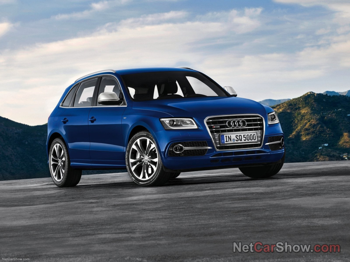 Audi SQ5 TDI фото 96979