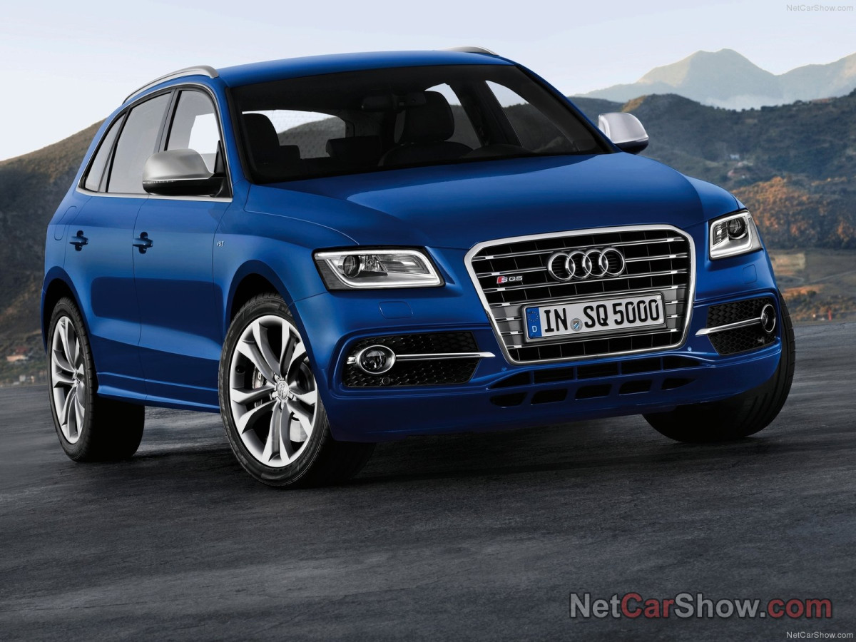 Audi SQ5 TDI фото 96980