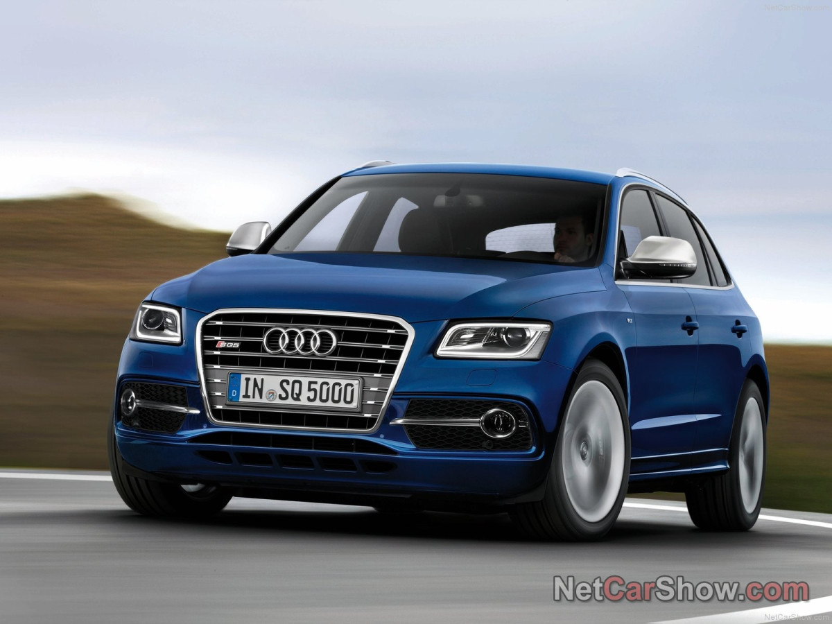 Audi SQ5 TDI фото 96981