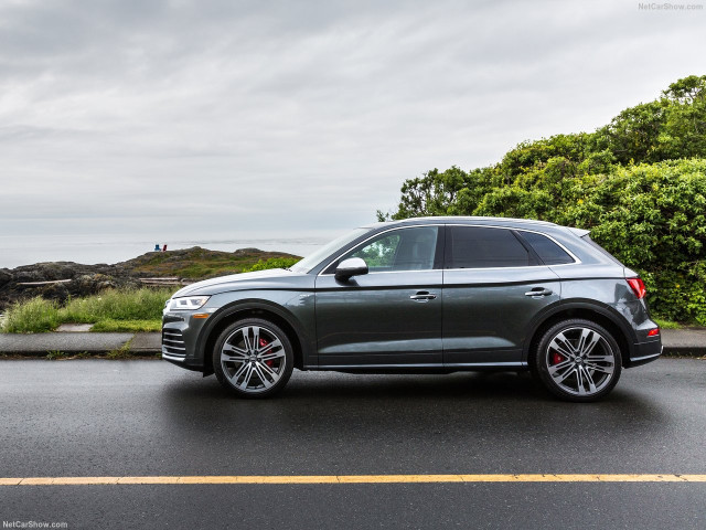 Audi SQ5 фото