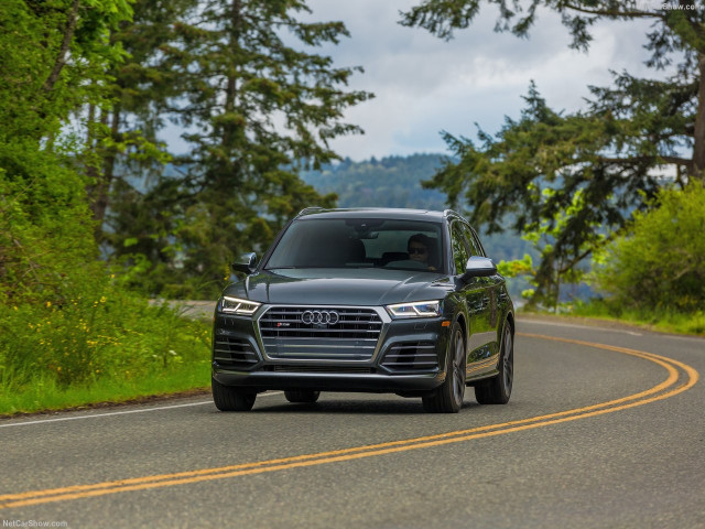 Audi SQ5 фото