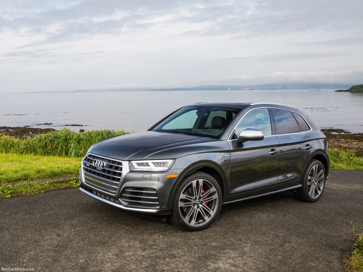 Audi SQ5 фото 185221