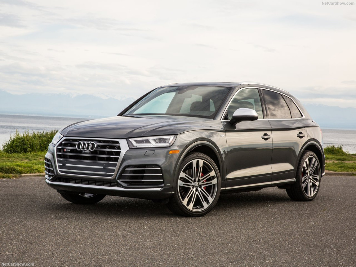 Audi SQ5 фото 185226