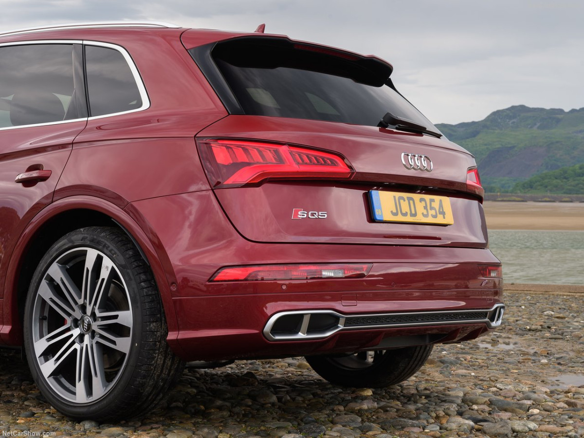 Audi SQ5 фото 185233