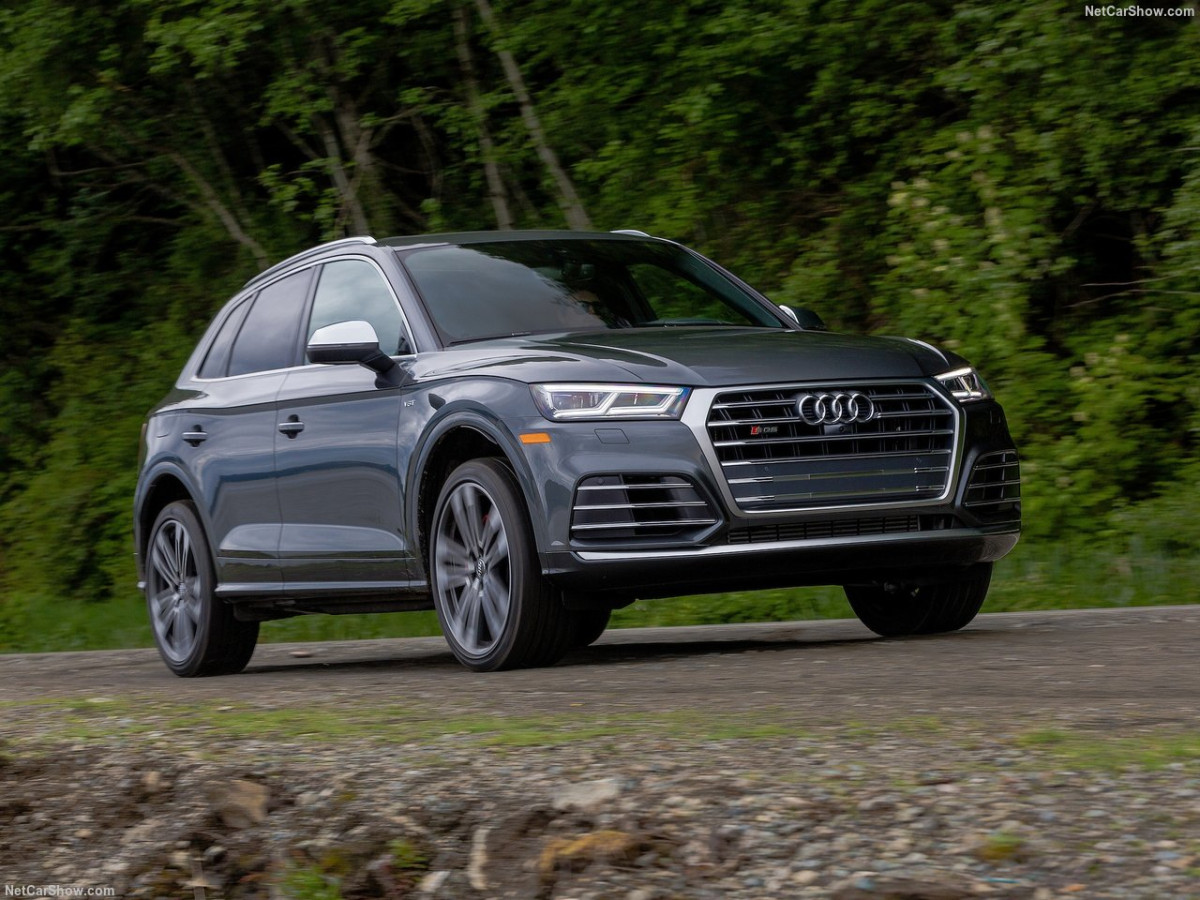 Audi SQ5 фото 185239