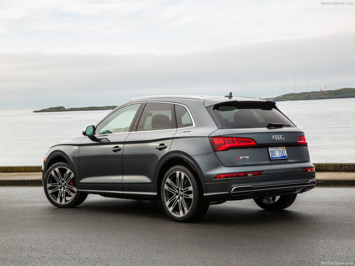 Audi SQ5 фото 185243