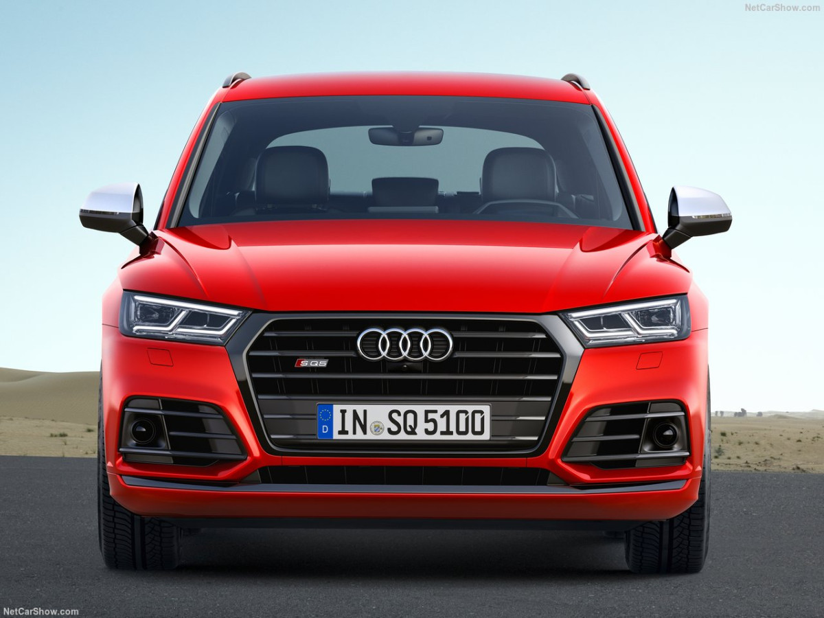 Audi SQ5 фото 185251