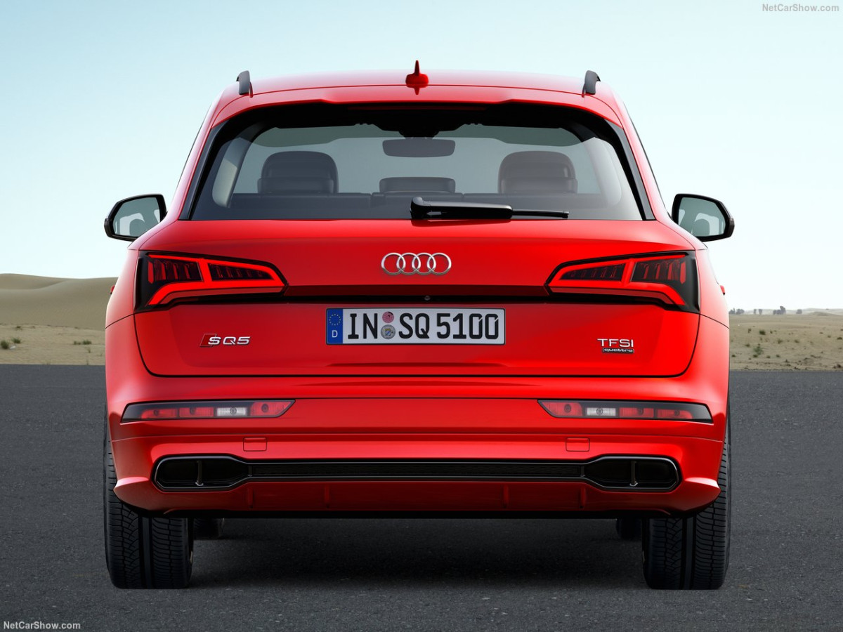 Audi SQ5 фото 185252