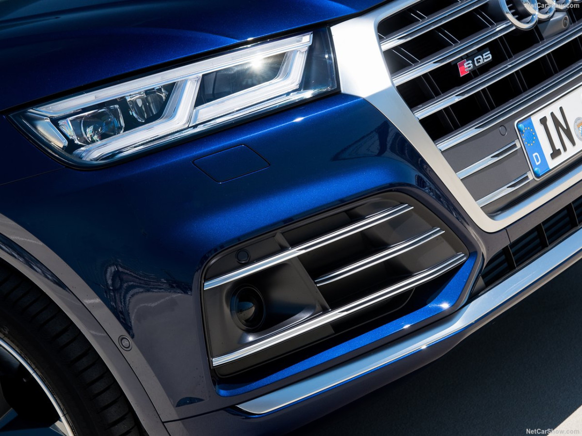 Audi SQ5 фото 185261