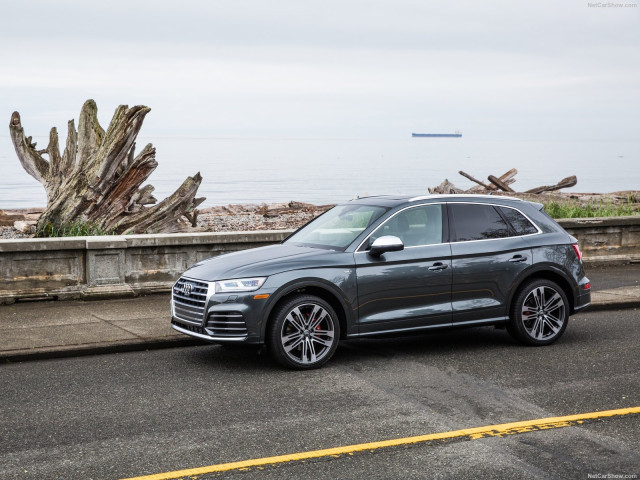 Audi SQ5 фото