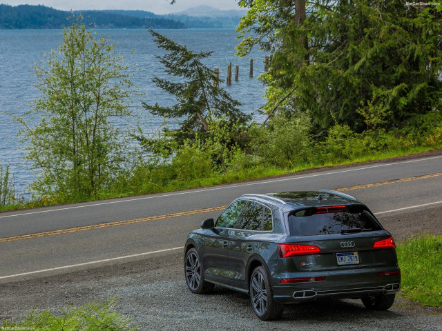 Audi SQ5 фото