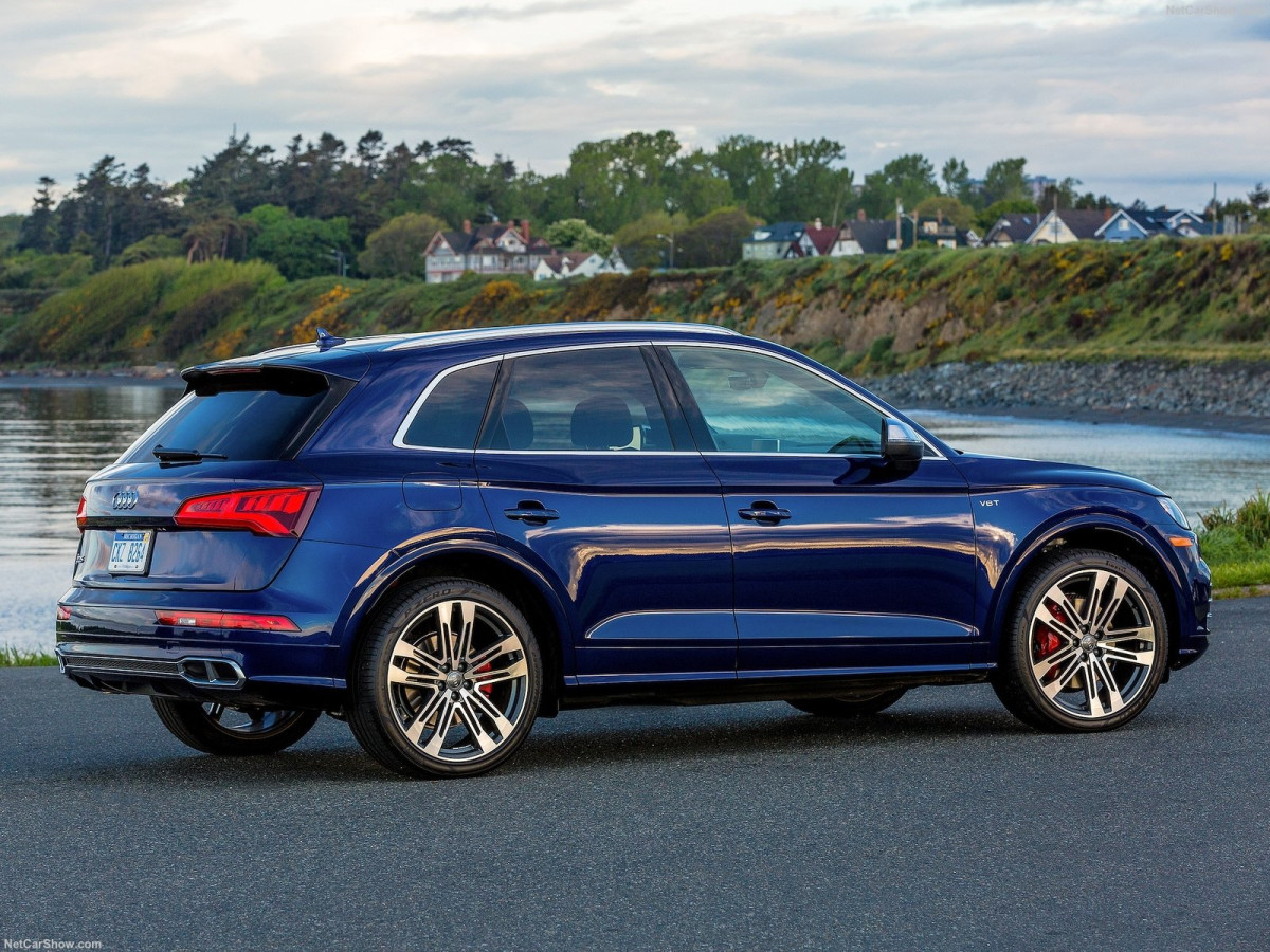 Audi SQ5 фото 189052