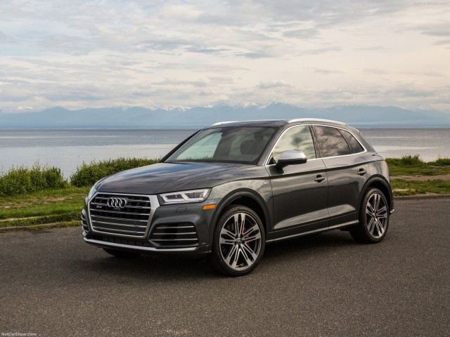 Audi SQ5 фото