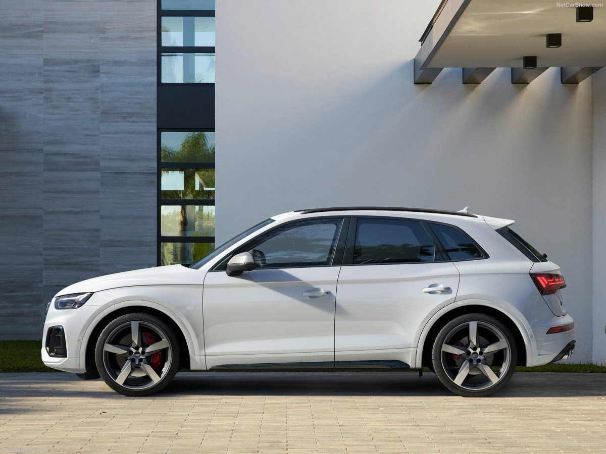 Audi SQ5 фото 205554