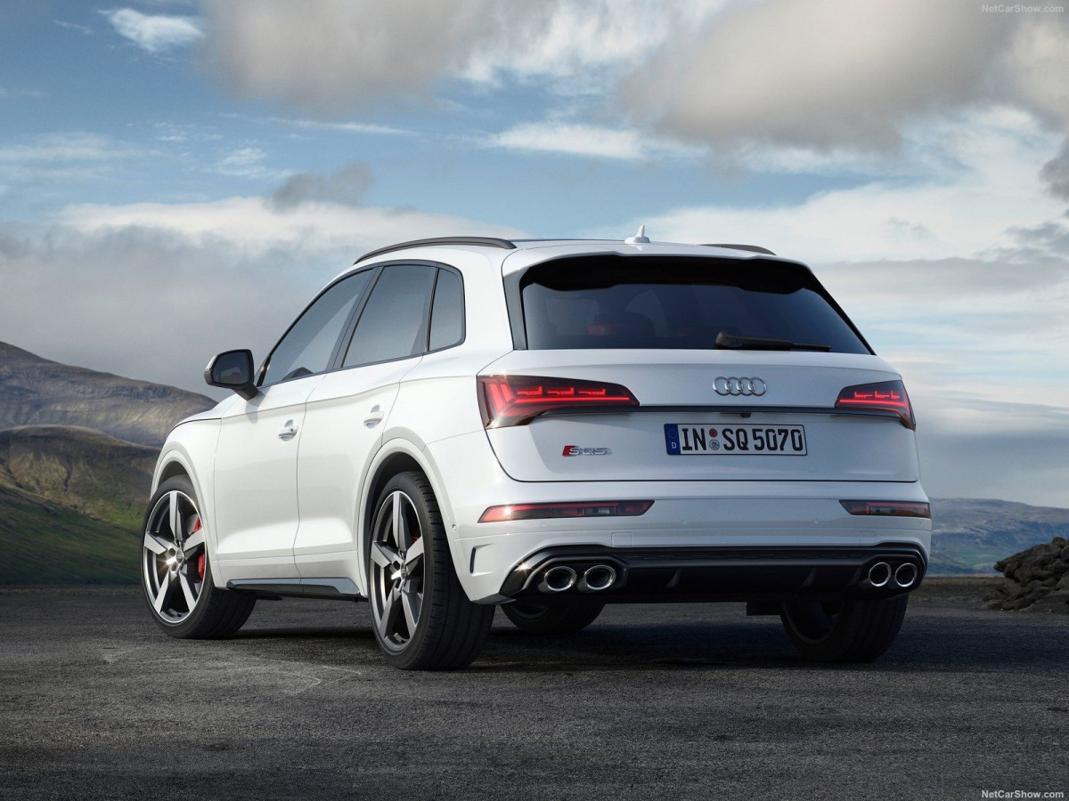 Audi SQ5 фото 205556