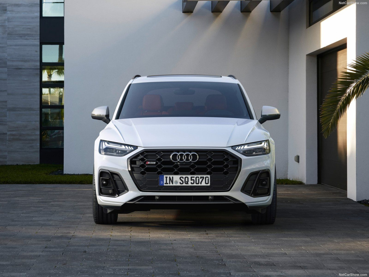 Audi SQ5 фото 205558