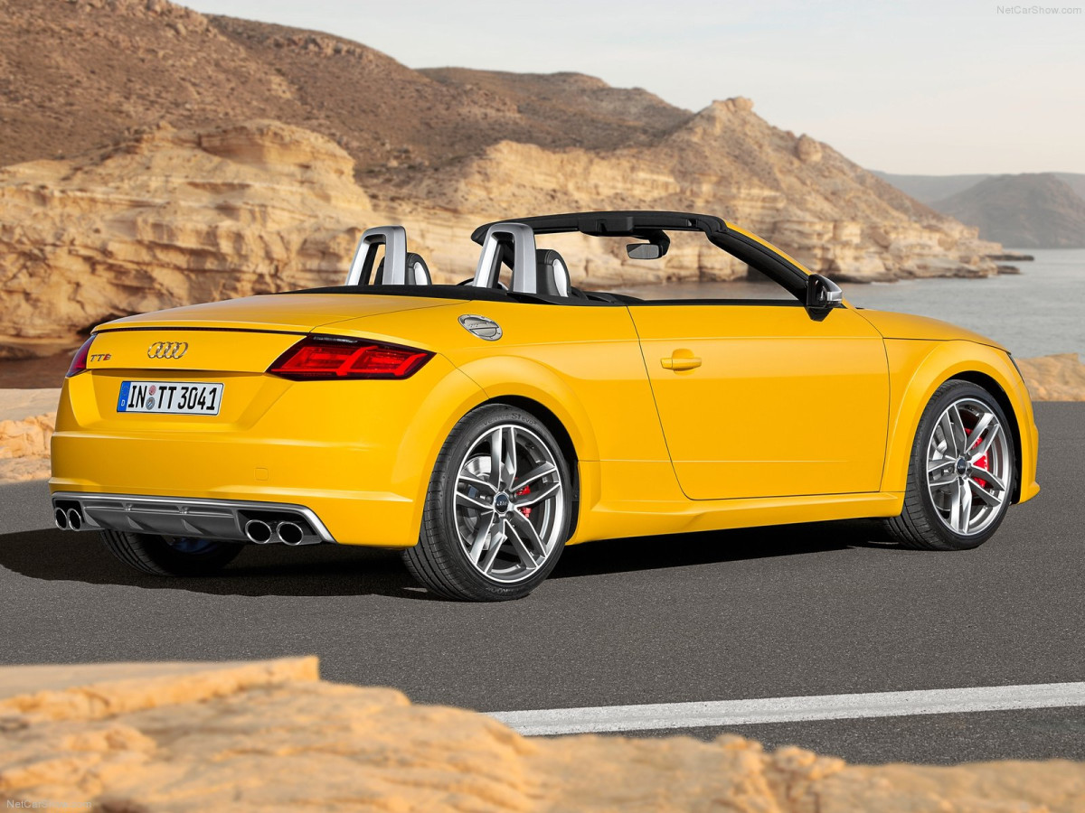 Audi TTS Roadster фото 134818