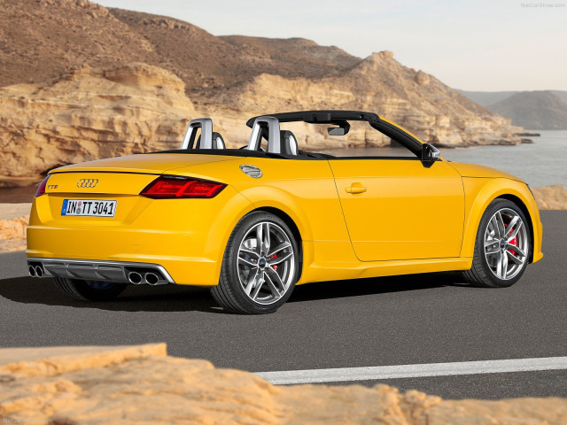 Audi TTS Roadster фото