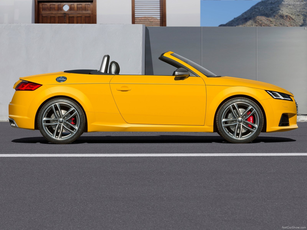 Audi TTS Roadster фото 134821