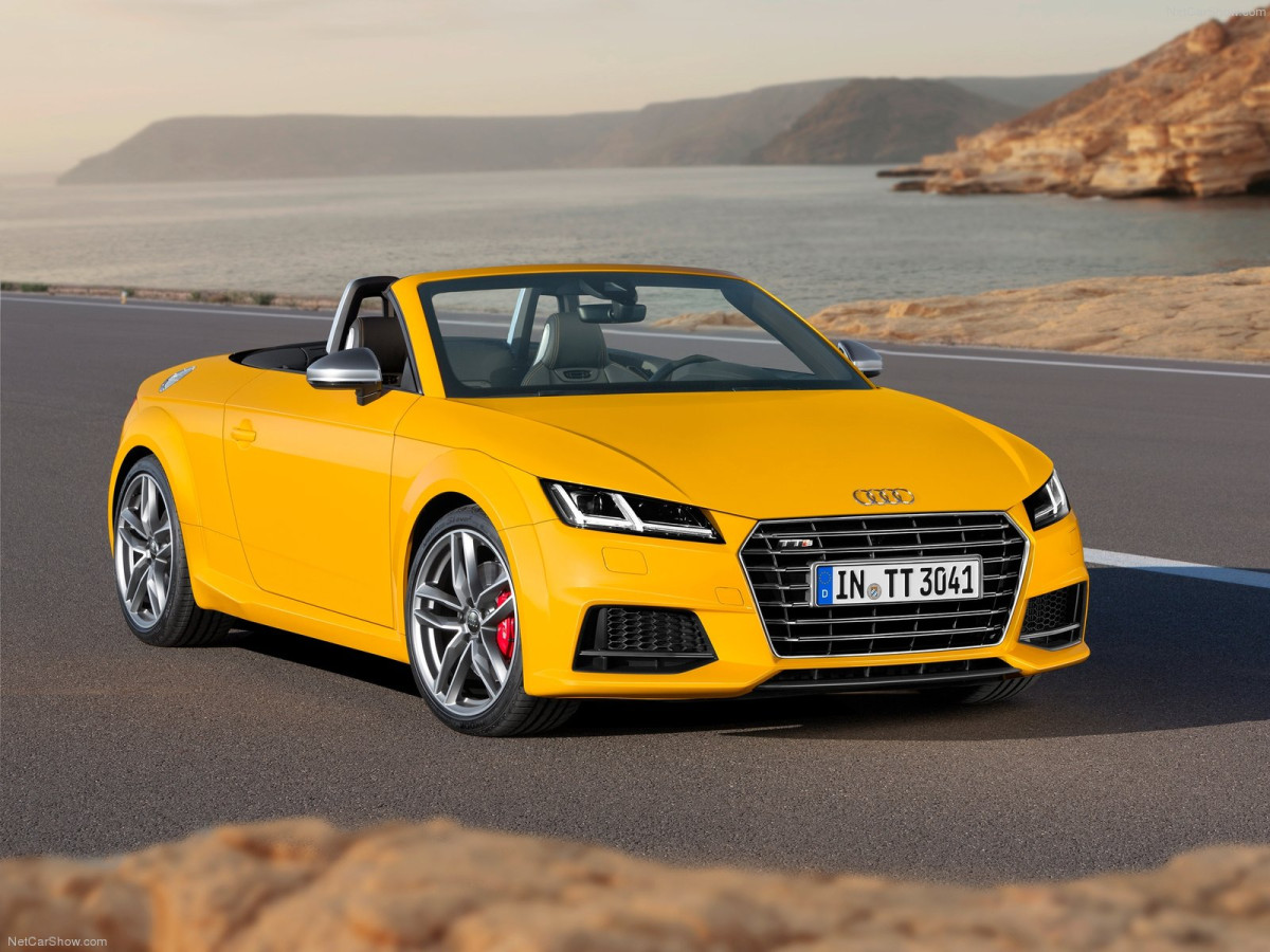 Audi TTS Roadster фото 134825