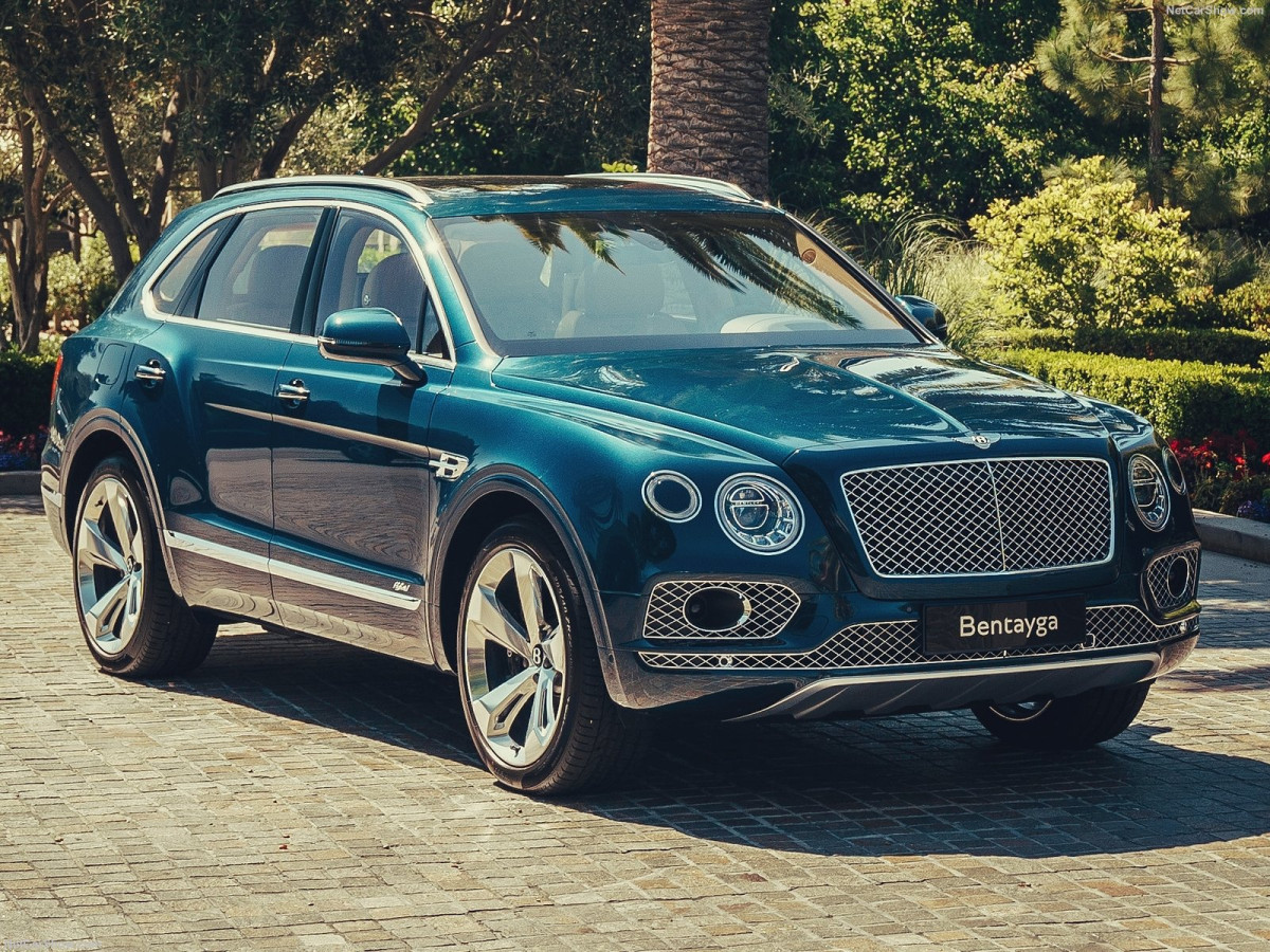 Bentley Bentayga Hybrid фото 202676