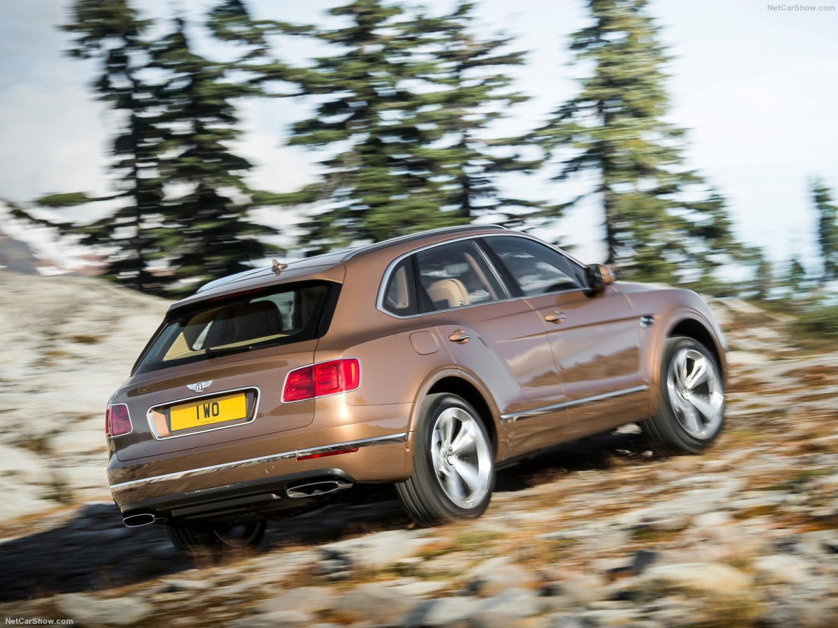 Bentley Bentayga фото 163271